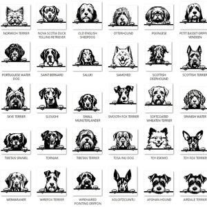 Laser Cut Bundle Peeking Dogs Svg Dxf Pdf Png Eps Complete breeds puppy dog lover engraving designs CNC files instant digital downloads image 3