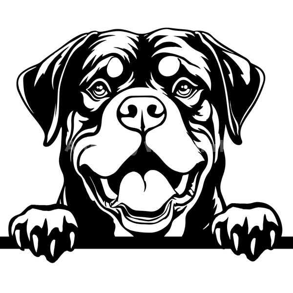 Rottweiler, rottie Peeking Dog SVG, PNG , DXF and Pdf - Dog or puppy pet lover  instant digital downloads