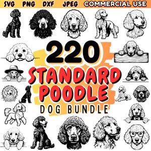 Ensemble SVG caniche chien standard | Pack DXF pour Cricut | Designs de silhouette de caniche | Clipart caniche standard pour travaux manuels