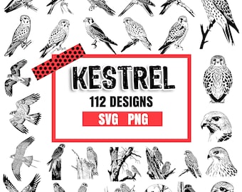 Paquete de siluetas de cernícalos en SVG y PNG: diseños de siluetas de aves rapaces y cernícalos voladores para manualidades de Cricut y amantes de la vida silvestre, descargas instantáneas.