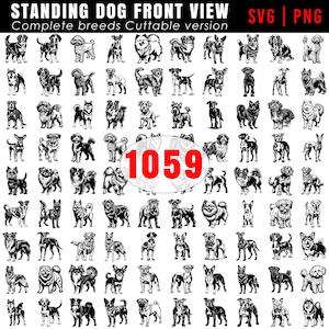Standing dog front view Complete breeds Cuttable version SVG and PNG bundle graphics - dogs puppy pet lover owner instant downloads