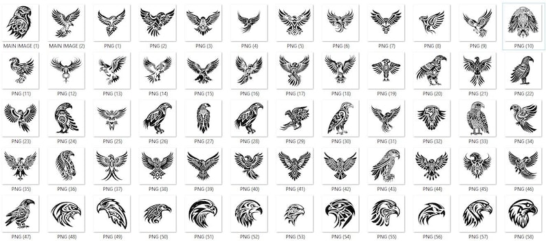 Hawk tribal art Bundle SVG, PNG instant digital downloads image 2