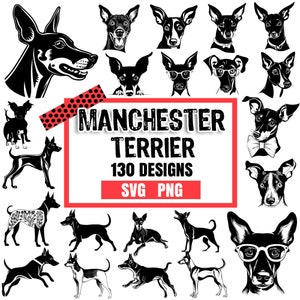 Manchester Terrier dog pet lover owner Bundle SVG, PNG instant digital downloads