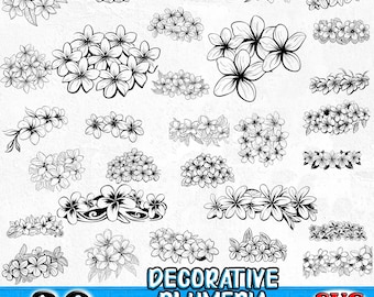 Plumeria Flower Svg Png Pdf bundle floral ornaments for Cricut | tropical decorative flower cut files | hibiscus style vector design pack