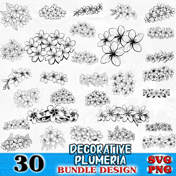 Plumeria flower decorative ornaments florals Bundle SVG, PNG instant digital downloads