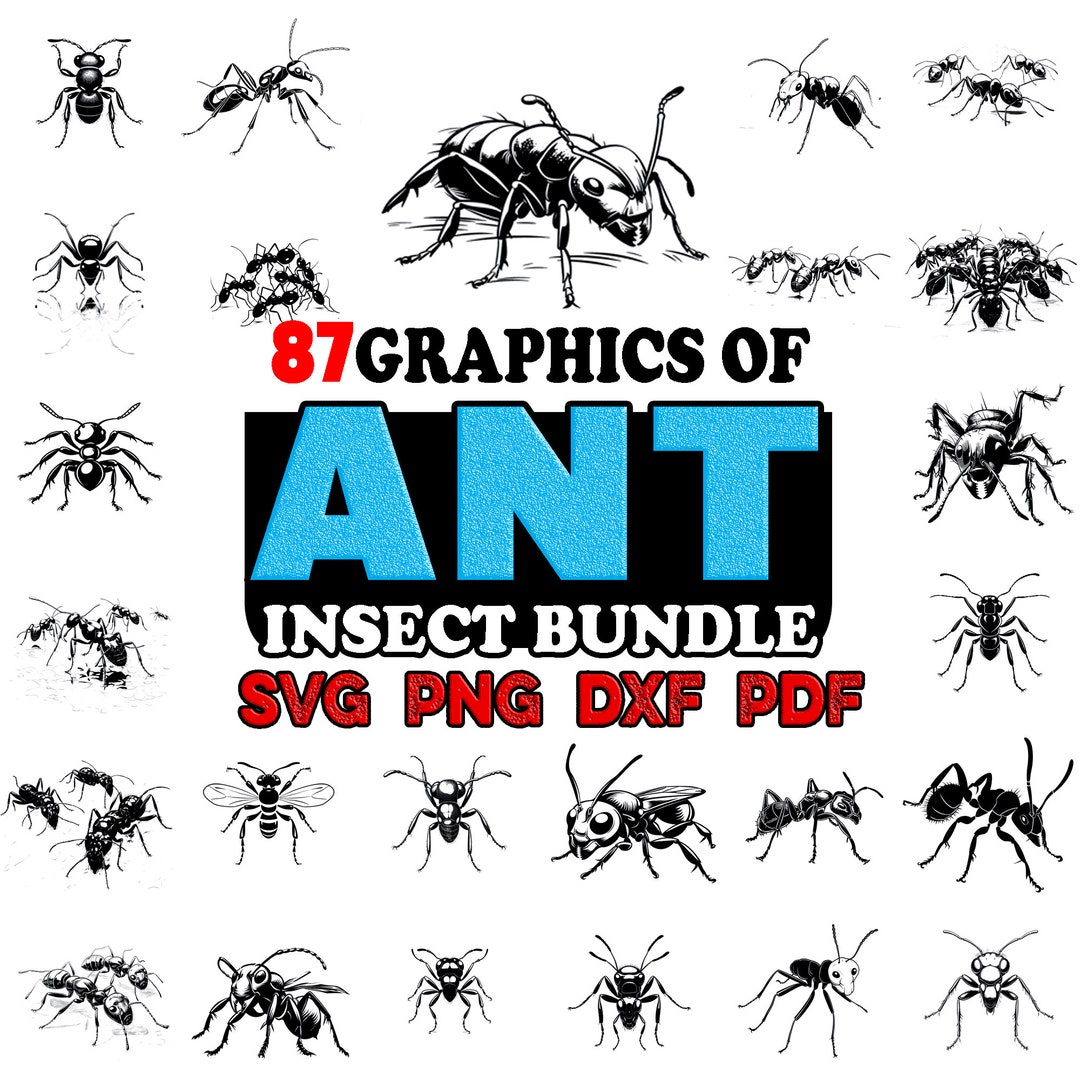 Ant Insect Bundle SVG, Png, Dxf, Pdf Instant Digital Downloads - Etsy