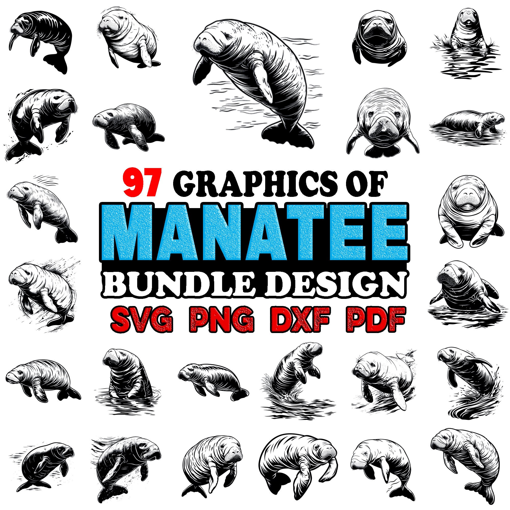 Manatee Bundle SVG, Png, Dxf, Pdf - Instant Digital Downloads