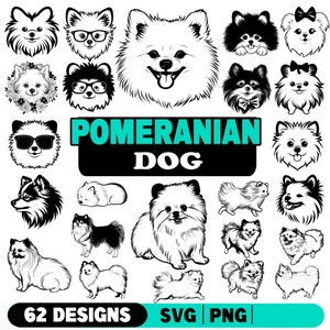 POMERANIAN Hund Haustier Liebhaber Besitzer Bundle SVG, PNG sofortige digitale Downloads