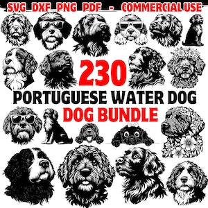 Pacote SVG de Cão de Água Português | Arquivos de Corte DXF | Desenhos de Silhueta de Cão de Água | Arquivos Digitais para Cricut | Uso Comercial Incluído