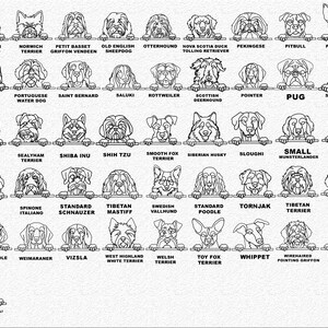 May include: Black and white line art illustrations of various dog breeds, each peeking over a horizontal line. The dog breeds are labeled with their names below the line.