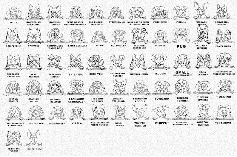 May include: Black and white line art illustrations of various dog breeds, each peeking over a horizontal line. The dog breeds are labeled with their names below the line.