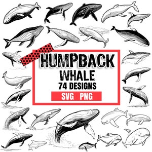 Humpback Whale, Bundle SVG, PNG instant digital downloads