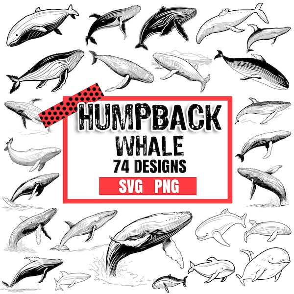 Humpback Whale, Bundle SVG, PNG instant digital downloads