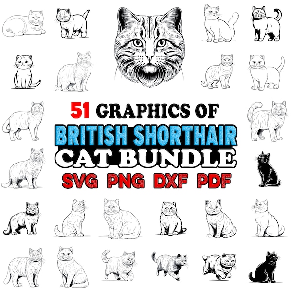 British Shorthair Cat Bundle SVG, Png, Dxf, Pdf - Instant digital downloads