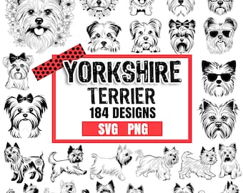 Yorkshire Terrier dog pet lover owner Bundle SVG, PNG instant digital downloads