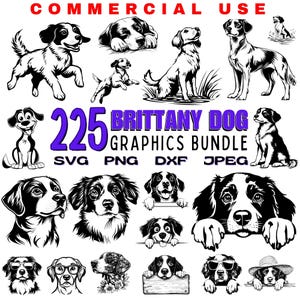 Bretagne Hund SVG Dxf Png Jpeg Bundle Sofortige digitale Downloads - Hundeliebhaber Grafiken kommerzielle Nutzung