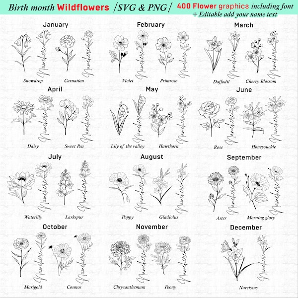 Bundle de fleurs sauvages mois de naissance SVG et PNG / Fleurs du mois de naissance svg / Fleur d'anniversaire / Clipart fleur / Téléchargements instantanés de svg botanique