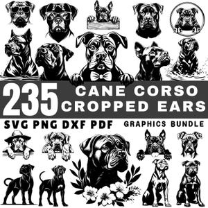 May include: A set of 235 black and white vector illustrations of Cane Corso dogs with cropped ears. The illustrations feature various poses and expressions, including dogs wearing sunglasses, bow ties, and hats. The text "Cane Corso Cropped Ears" and "Graphics Bundle" is included in the image.