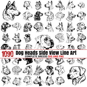 Dog heads side view line art Complete breeds Svg and PNG bundle graphics - dogs puppy pet lover owner instant downloads