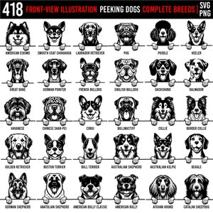 418 Vorderansicht-Illustration komplette Hunderassen SVG und PNG Bundle - Hunde-Welpe Haustier-Liebhaber Besitzer Sofort-Downloads