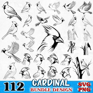 May include: A set of 112 black and white cardinal bird illustrations. The illustrations are in various poses, including flying, perched, and in profile. The text "CARDINAL BUNDLE DESIGN" is at the bottom of the image.