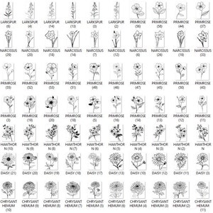 May include: Black and white line drawings of various flowers, including larkspur, primrose, lily of the valley, honeysuckle, carnation, daisy, narcissus, chrysanthemum, and snowdrop. Each flower is labeled with its name and number.