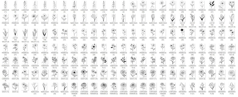 May include: Black and white line drawings of various flowers, including larkspur, primrose, lily of the valley, honeysuckle, carnation, daisy, narcissus, chrysanthemum, and snowdrop. Each flower is labeled with its name and number.