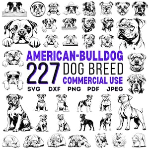 American Bulldog Svg Dxf Png Pdf Jpeg Bundle Download digitali istantanei - Uso commerciale
