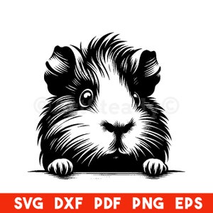 Peeking Guinea Pig Farm animals  Svg , Dxf, Png, Eps, Pdf  instant digital downloads