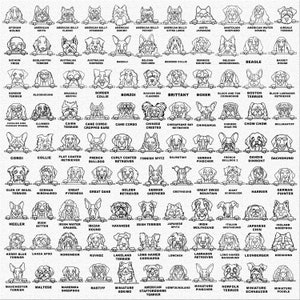 May include: Black and white line art illustrations of various dog breeds, each peeking over a horizontal line. The dog breeds are labeled with their names below each image.