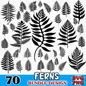 Ormbunkar Botaniska Svg & Png Bundle Natur Växt Blad Grafisk Konst Elegant Botanisk Design för Heminredning Direktnedladdningar