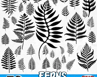 Paprocie Botaniczne SVG i PNG Pakiet Natura Roślina Liść Grafika Elegancki Botaniczny Projekt do Wystrój Domu natychmiastowe pobieranie
