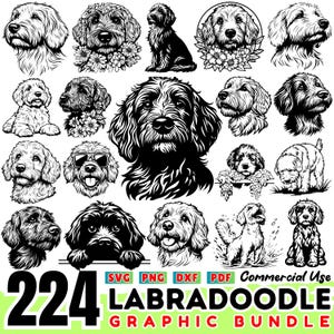 Labradoodle chien SVG | Lot de silhouettes Labradoodle | Amoureux des chiens Cricut Design | Fichiers DXF de race d'animal de compagnie | Art numérique à usage commercial