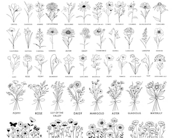 Fleurs sauvages mois de naissance SVG, PNG mega bundle graphiques dessin au trait style anniversaire naissance mois clipart floral botanique téléchargements numériques instantanés