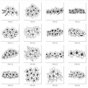May include: A set of 25 black and white line art illustrations of various floral arrangements featuring plumeria flowers. The illustrations are perfect for creating digital or printed designs.