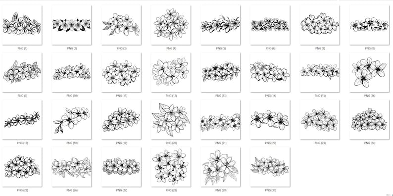 May include: A set of 25 black and white line art illustrations of various floral arrangements featuring plumeria flowers. The illustrations are perfect for creating digital or printed designs.