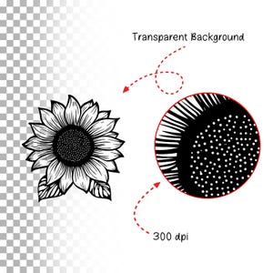Pode incluir: Ilustra&ccedil;&atilde;o em preto e branco de um girassol em linhas com um centro detalhado. A imagem est&aacute; sobre um fundo transparente.
