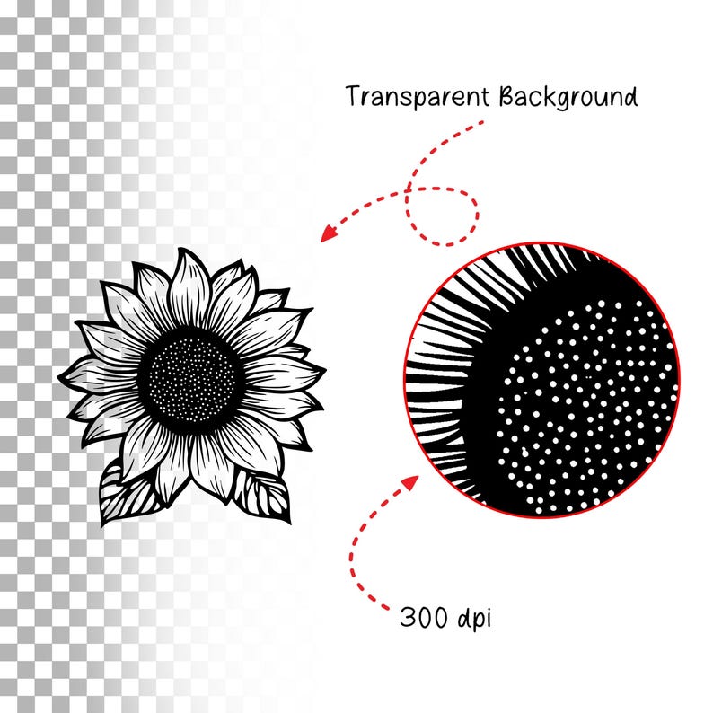 Pode incluir: Ilustra&ccedil;&atilde;o em preto e branco de um girassol em linhas com um centro detalhado. A imagem est&aacute; sobre um fundo transparente.