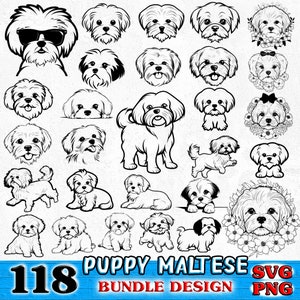 Maltese Puppy dog pet lover owner Bundle SVG, PNG instant digital downloads