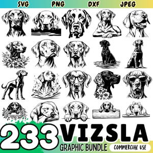 Paquete SVG de perro Vizsla / Archivos DXF de razas de perros / Cricut Design Space / Descargas digitales para uso comercial