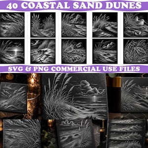 May include: A digital collection of 40 coastal sand dune illustrations in black and white. The set includes SVG and PNG files featuring beach grass, shorebirds, crabs, sea turtles, and ocean landscapes. The text reads 40 COASTAL SAND DUNES.