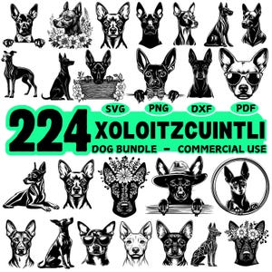 Xoloitzcuintli Svg Dxf Png Jpeg Bundle Downloads Digitais Instantâneos - Uso Comercial