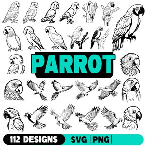 May include: A collection of 112 black and white parrot illustrations. The parrots are in various poses, including flying, sitting, and standing. The word "PARROT" is written in large, bold letters across the top of the image. The text "112 DESIGNS SVG | PNG" is at the bottom of the image.