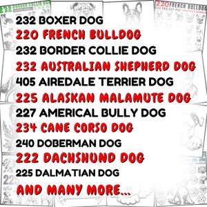 May include: A list of dog breeds with the number of SVG files available for each breed. The breeds include Boxer, French Bulldog, Border Collie, Australian Shepherd, Airedale Terrier, Alaskan Malamute, American Bully, Cane Corso, Doberman, Dachshund, Dalmatian, and many more.