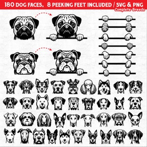 Dog Heads Faces SVG and PNG Bundle Complete Dog Breeds Svg Including ...