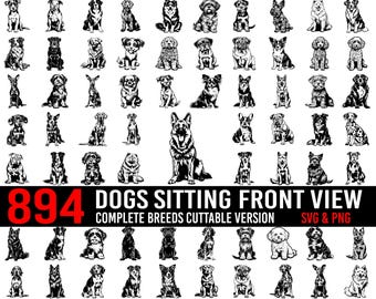 Dogs sitting front view Complete breeds Cuttable version SVG and PNG bundle - dogs or puppy pet lover owner instant digital downloads