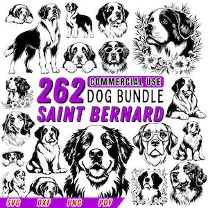 May include: A collection of 262 black and white Saint Bernard dog illustrations in various poses. The illustrations are perfect for crafting projects, digital designs, and commercial use. The text "COMMERCIAL USE 262 DOG BUNDLE SAINT BERNARD" is displayed in purple and white.
