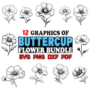 May include: Twelve black and white illustrations of buttercup flowers. The text "12 Graphics of Buttercup Flower Bundle SVG PNG DXF PDF" is below the images.