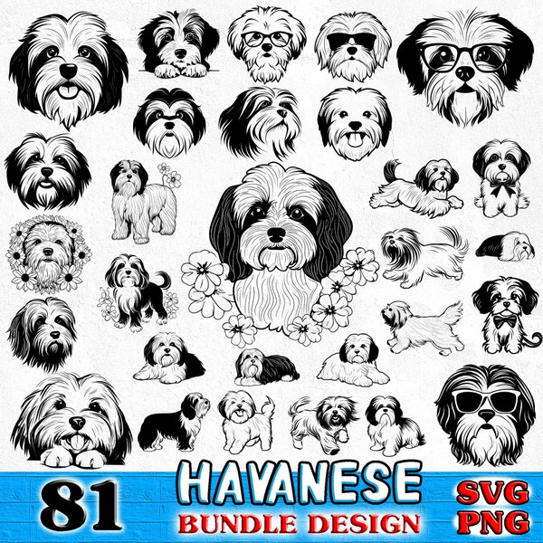 Havaneser Hund Haustier Liebhaber Besitzer Bundle SVG, PNG sofortige digitale Downloads