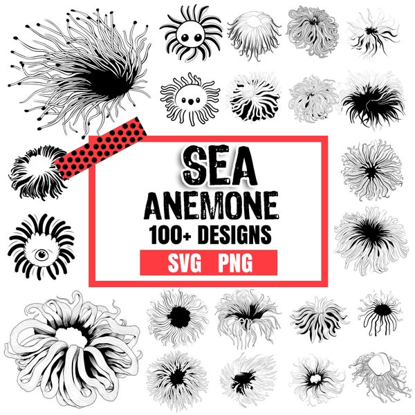Sea Anemone, Bundle SVG, PNG instant digital downloads